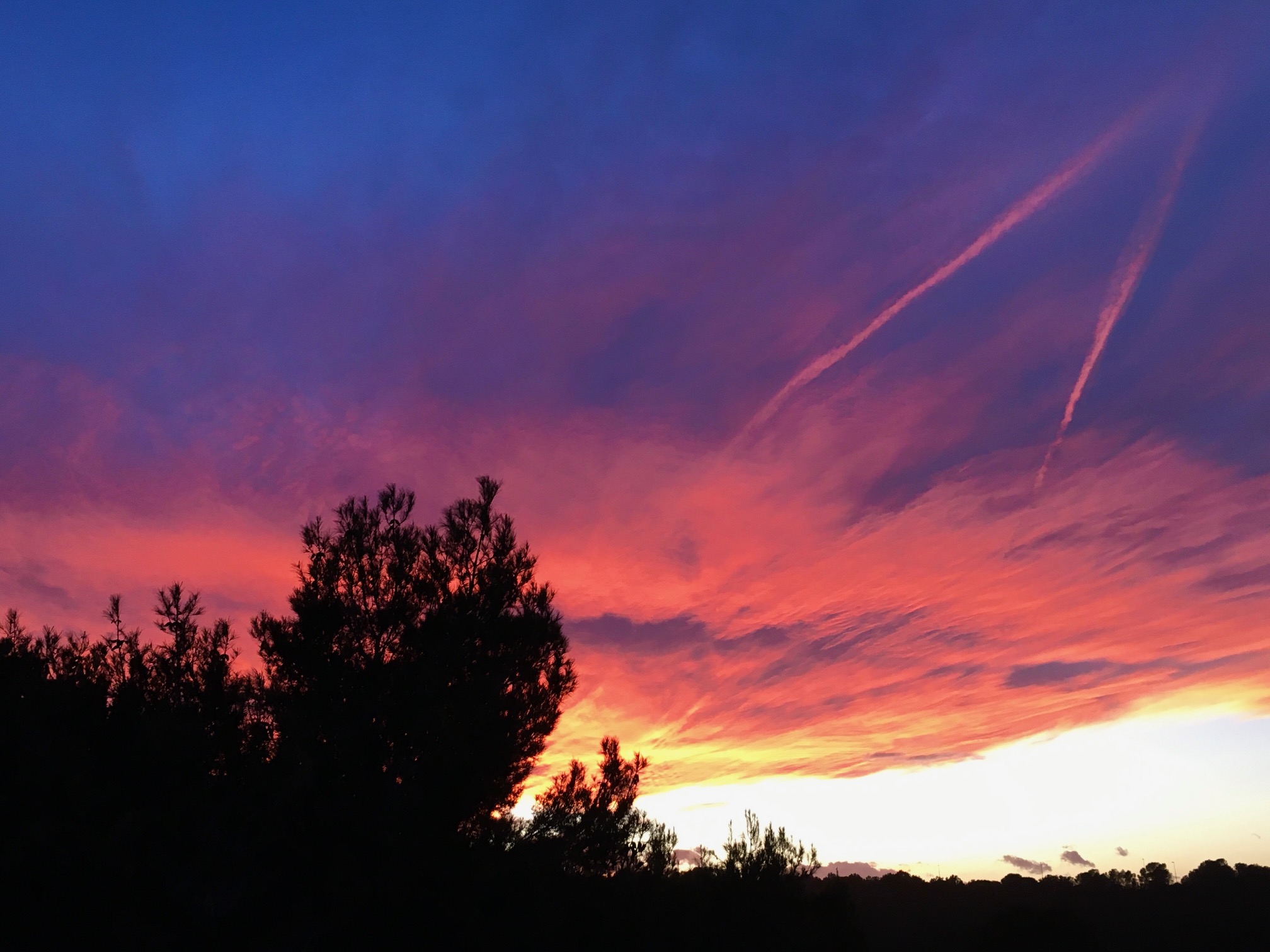 Sunsets